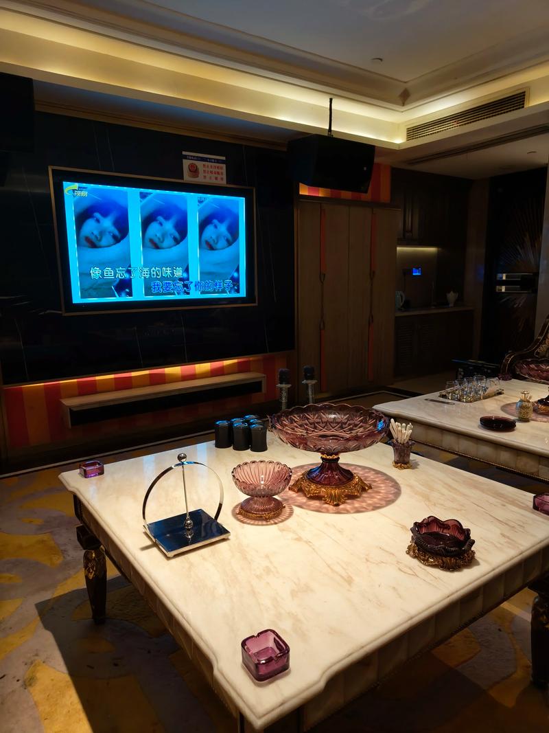 韶关商务ktv优选尽享高品质体验-仁化县ktv预订